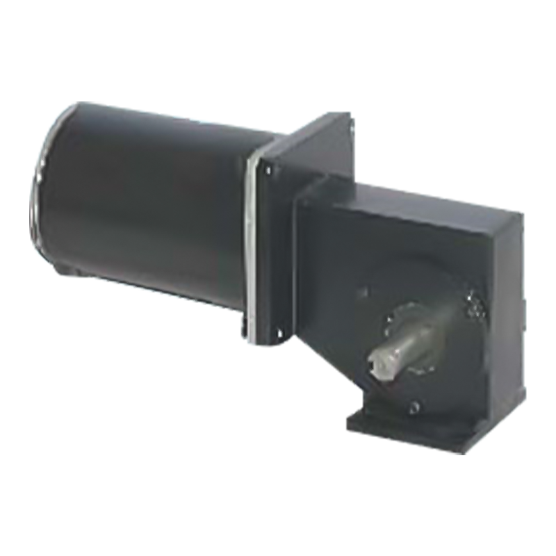 90JW/83ZY125 2000-3000 RPM স্থায়ী চুম্বক ব্রাশড ওয়ার্ম গিয়ার মোটর