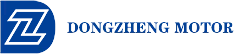 Zhejiang Dongzheng মোটর কোং, লিমিটেড